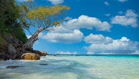 Crystal Water and White Sand Beach in the South of Thailand